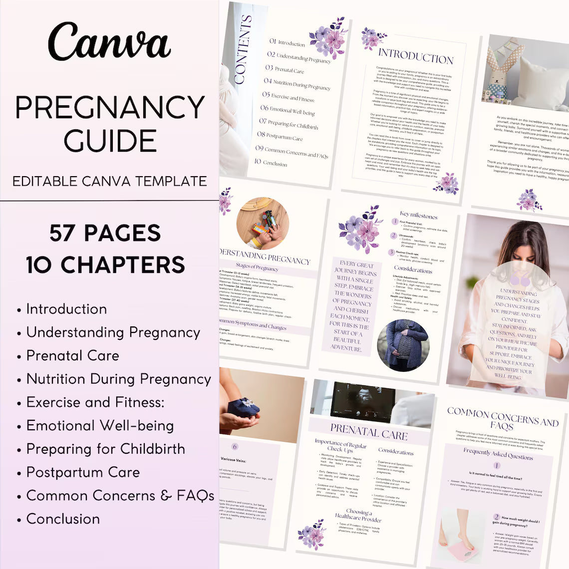 Pregnancy Guide Ebook
