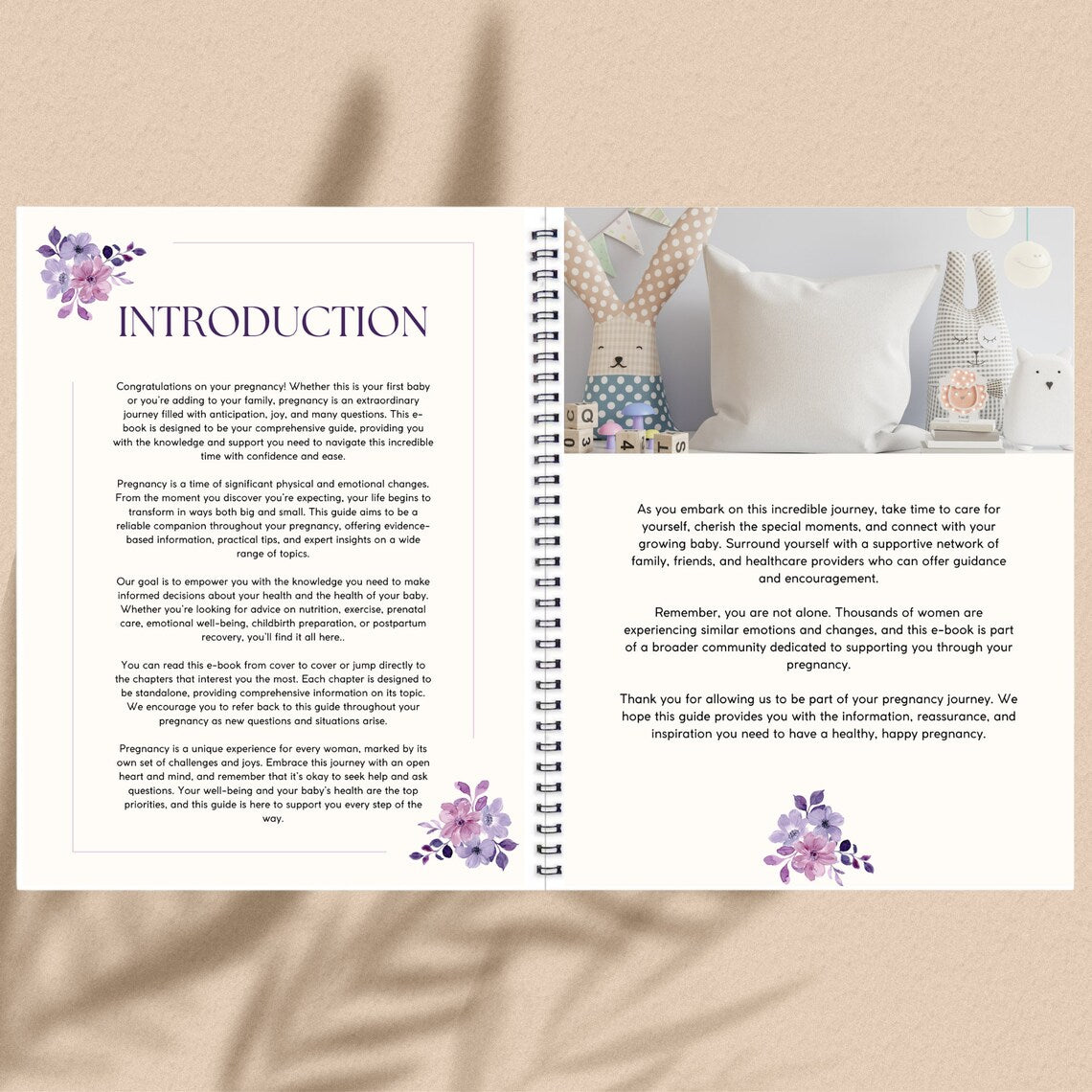 Pregnancy Guide Ebook