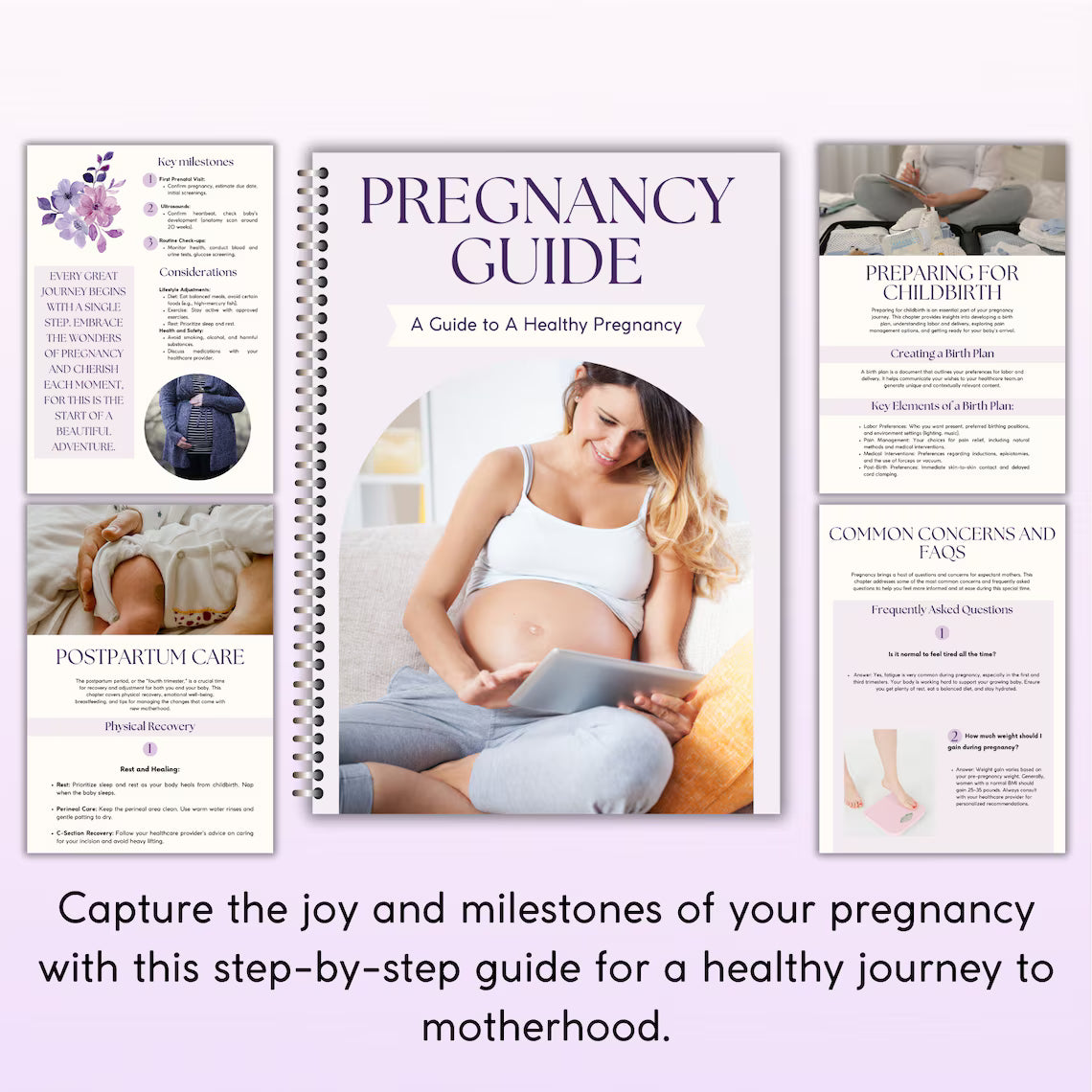 Pregnancy Guide Ebook