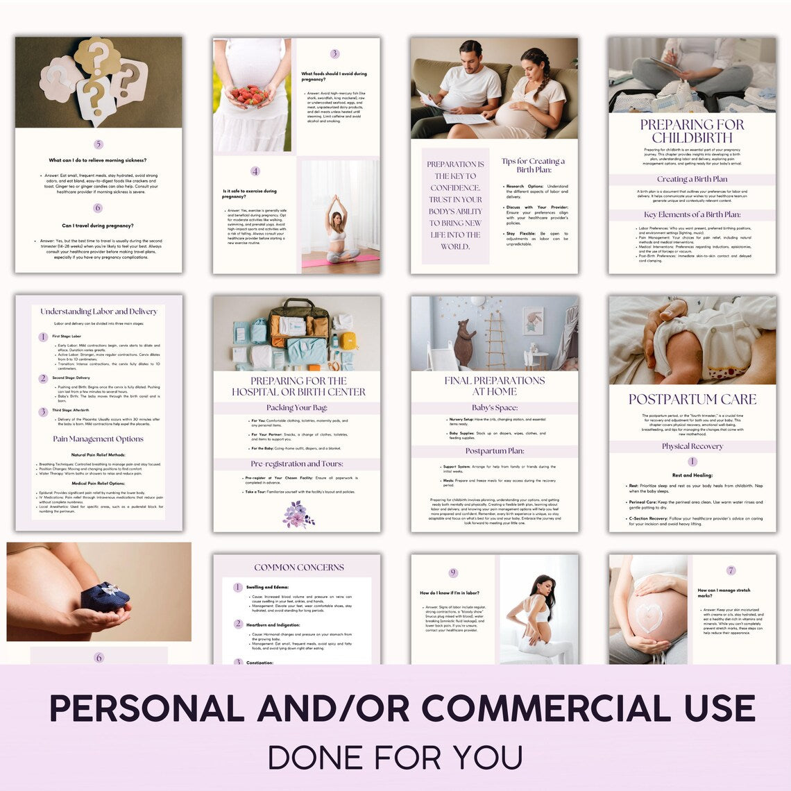 Pregnancy Guide Ebook