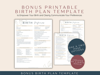 Pregnancy Checklist Bundle